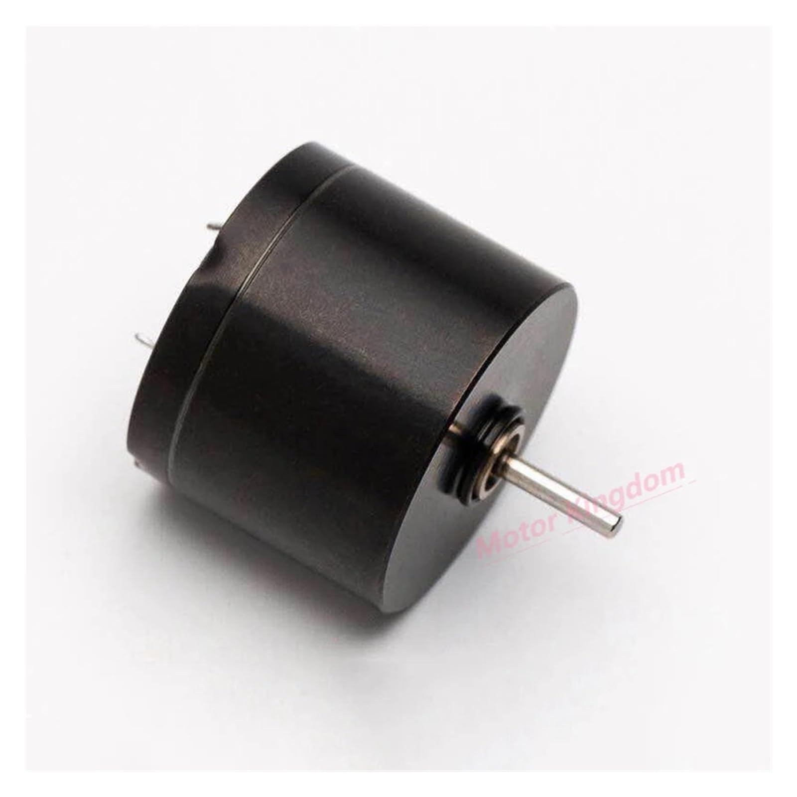 20mm*16mm Coreless DC electronic starter 12V 12000RPM High Speed Engine for Tattoo Machine FXPGIIOZM von FXPGIIOZM