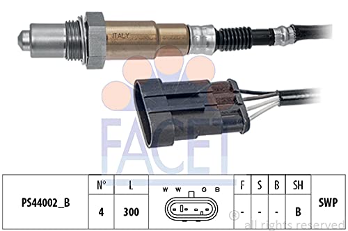 FACET 10.8203 Einspritzanlage von Facet