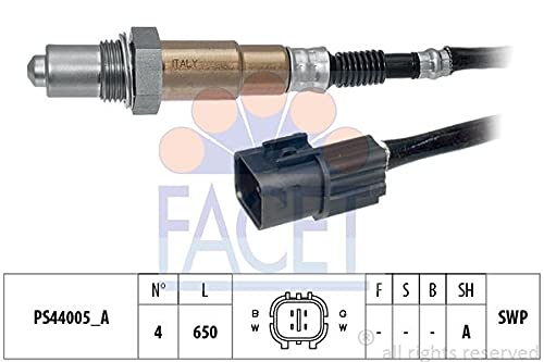 FACET 10.8262 Einspritzanlage von Facet