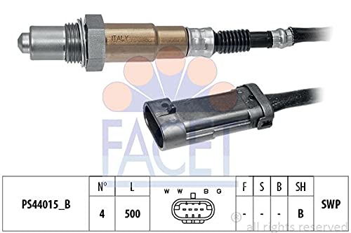 FACET 10.8280 Einspritzanlage von Facet