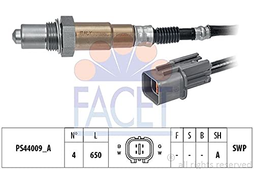 FACET 10.8360 Einspritzanlage von Facet