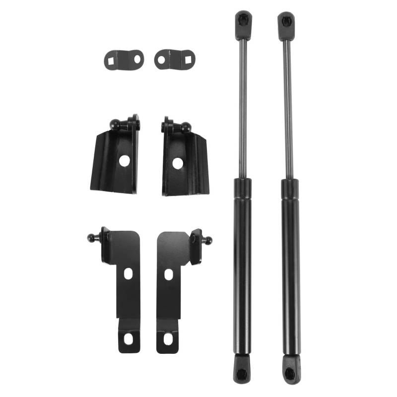 Fangxuee Auto Front Haube Abdeckung UnterstüTzung Kit Gas Druck Federn Lift UnterstüTzung für Navara D40 2004-2018 für (R51) von Fangxuee