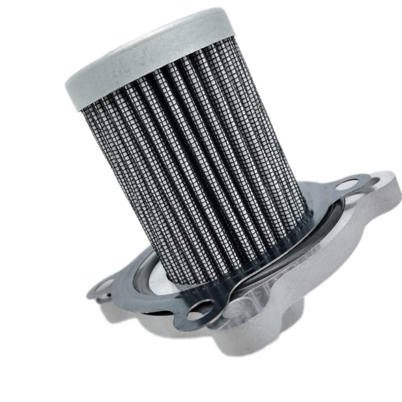 Fangxuee Autofilter 330953KAA0 Erdgas LPG Fule Filter für Azera 1998-2010 Opirus 2004-2011 33095-3KAA0 von Fangxuee