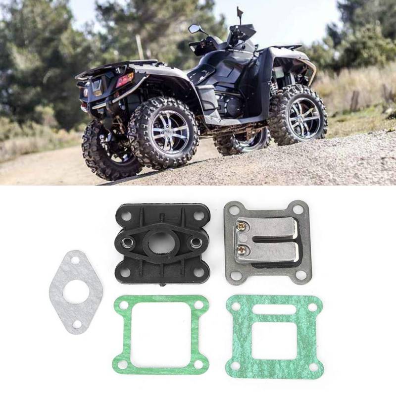 Vergaser-Membran-Hauptfaltsatz, Pocket Bike Reed-Ventil-Hauptfaltsatz, Kompatibel für 47 Cc 49 Cc Pocket Bike Mini ATV Dirt Bike von Fauitay