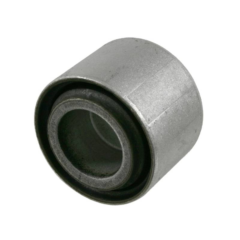 Lagerung, Differential Hinterachse hinten Febi Bilstein 21765 von Febi Bilstein