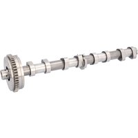 Nockenwelle FEBI BILSTEIN FE175291 von Febi