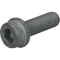 Schraube, Bremssattel FEBI BILSTEIN 185993 von Febi