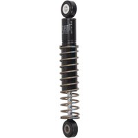 Schwingungsdämpfer, Keilrippenriemen FEBI BILSTEIN 30894 von Febi