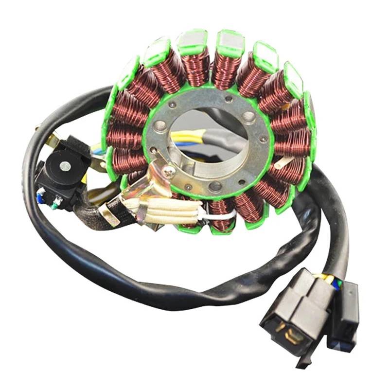 Stator Coil Für Suzuki DR200 1995-2013 DF200 1996 1997 1998 1999 2000 DR DF 200 Motorrad Generator Stator Spule Kit Zündgenerator Spule von Feoosvx