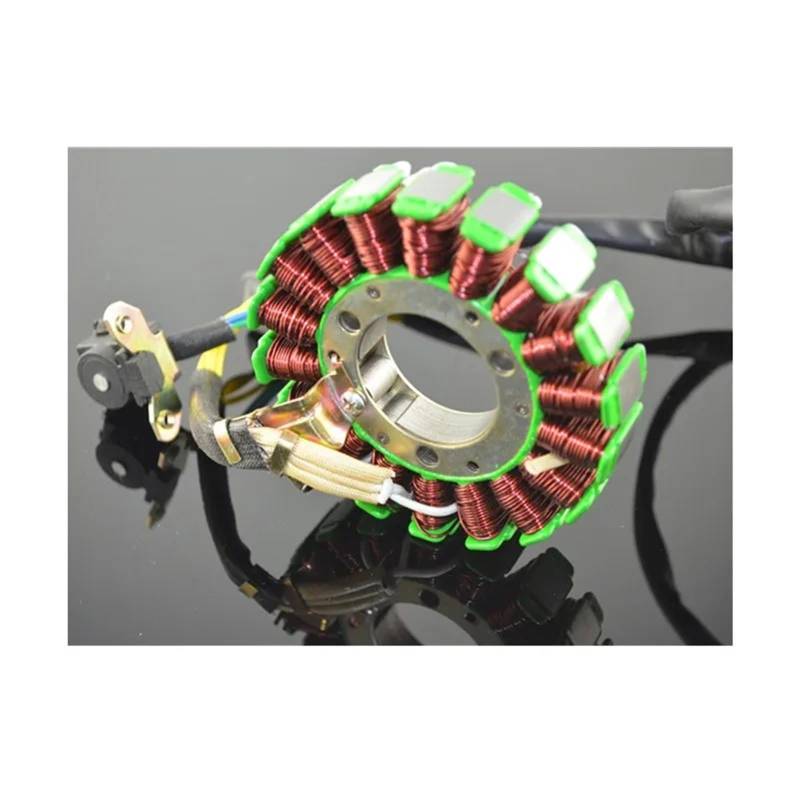 Stator Coil Für Suzuki DR200 DR 200 DF200 DF 200 Motorrad Generator Teile Stator Spule Comp Zündgenerator Spule von Feoosvx