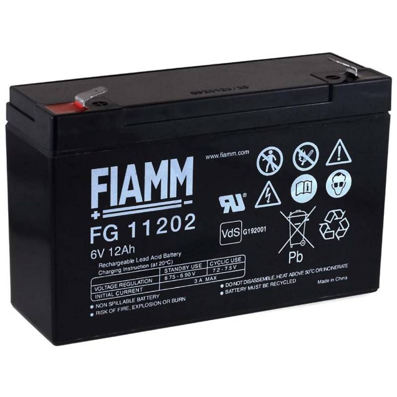 Fiamm Original Ersatzakku für Kindermotorrad Kinderbuggy 6V 12Ah (ersetzt auch 10Ah), Lead-Acid, 6V von Fiamm