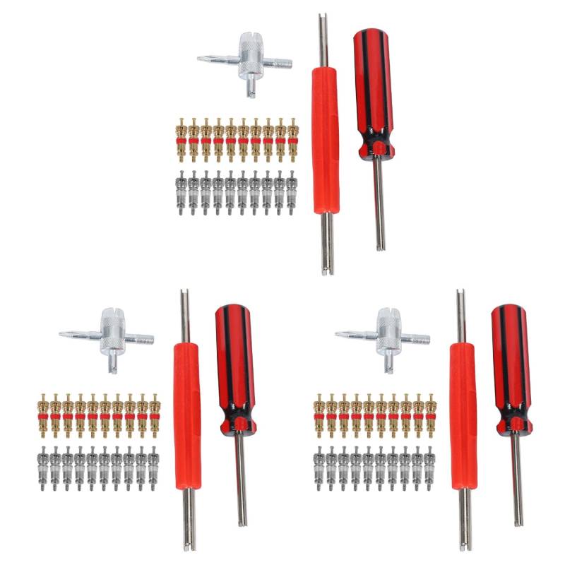 Fivetwofive 3X Ventil Werkzeug Satz 60 Teilig Ventil Kerne, 4 Wege Ventil Werkzeug, Doppel Einzel Ventil Entferner, Reifen Reparatur Werkzeug von Fivetwofive