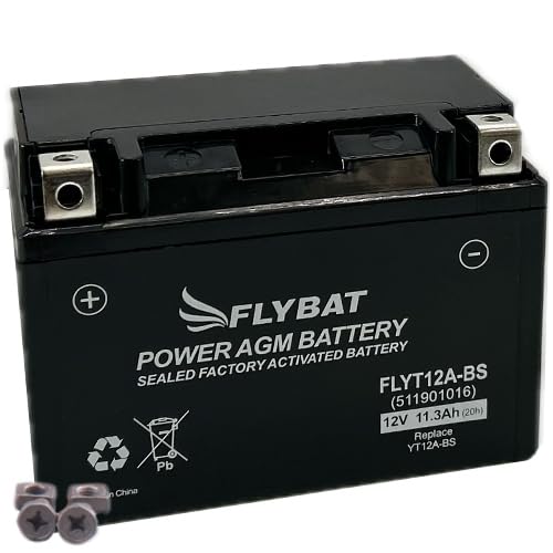 Batterie FlyBat FLYT12A-BS / YT12A-BS AGM geschlossen von Flybat