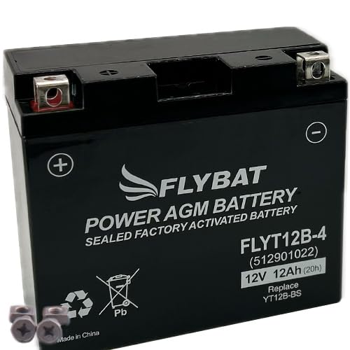 Batterie FlyBat FLYT12B-4 / YT12B-BS AGM geschlossen von Flybat