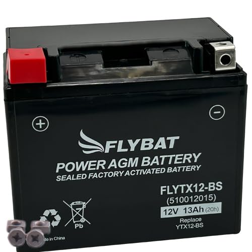 Batterie FlyBat FLYTX12-BS / YTX12-BS AGM geschlossen von Flybat