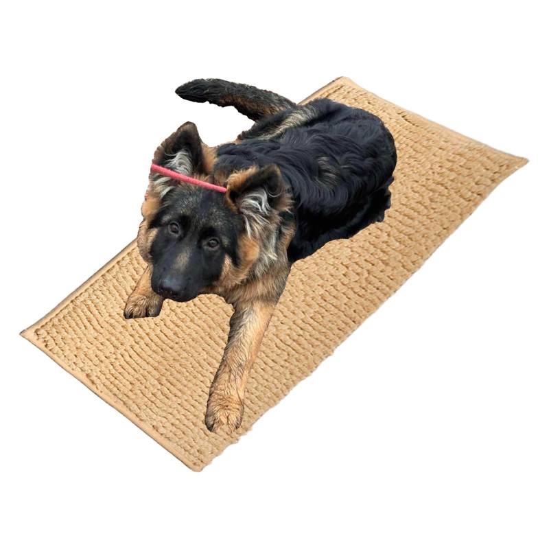 Folleggia Cleany Matte Hunde, Schmutzfangmatte Hund, Cleany Matte Schmutzfangmatte, für Schlammige, Nasse Pfoten und Schuhe, für Haustier, Weich und Super Saugfähig (Beige, 30 * 50cm) von Folleggia