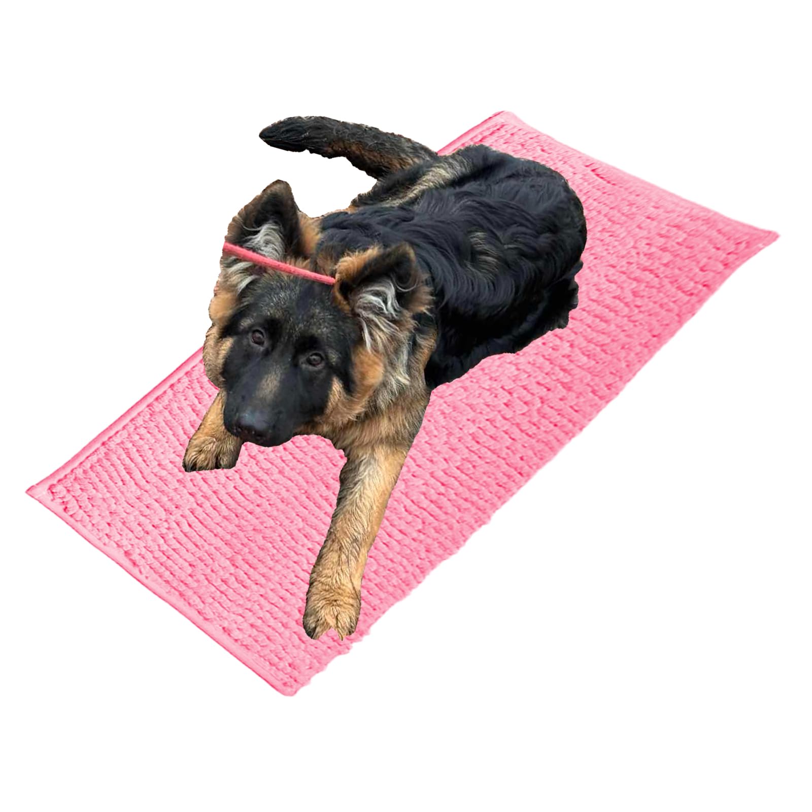 Folleggia Cleany Matte Hunde, Schmutzfangmatte Hund, Cleany Matte Schmutzfangmatte, für Schlammige, Nasse Pfoten und Schuhe, für Haustier, Weich und Super Saugfähig (Pink, 30 * 50cm) von Folleggia