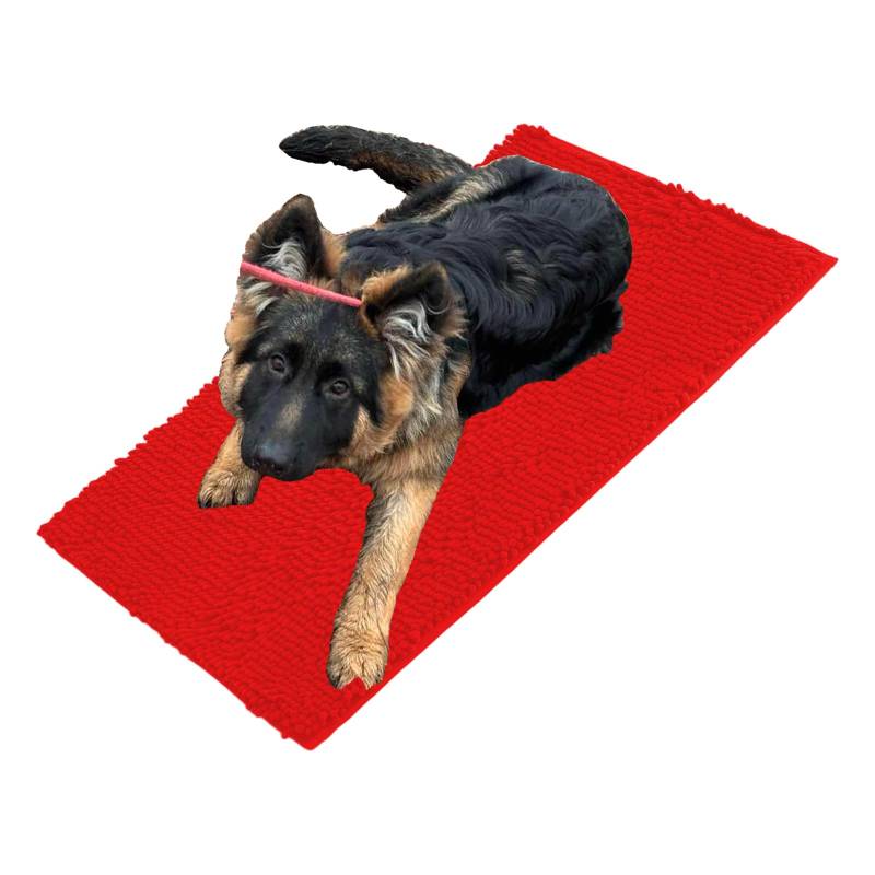 Folleggia Cleany Matte Hunde, Schmutzfangmatte Hund, Cleany Matte Schmutzfangmatte, für Schlammige, Nasse Pfoten und Schuhe, für Haustier, Weich und Super Saugfähig (Rot, 30 * 50cm) von Folleggia