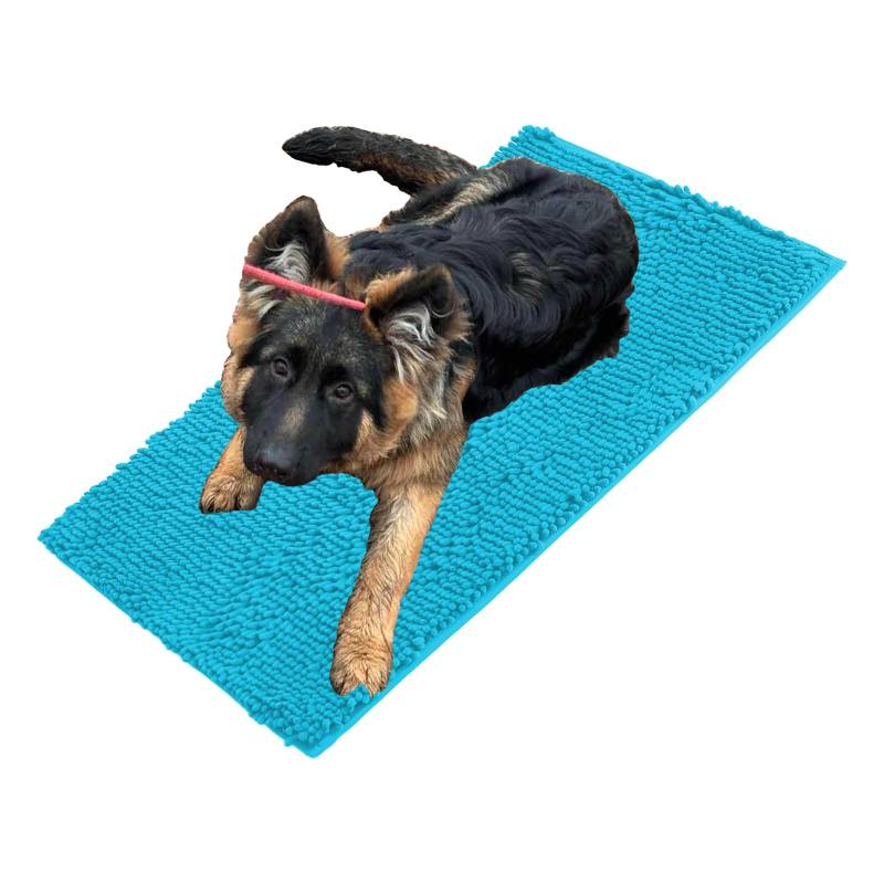 Folleggia Cleany Matte Hunde, Schmutzfangmatte Hund, Cleany Matte Schmutzfangmatte, für Schlammige, Nasse Pfoten und Schuhe, für Haustier, Weich und Super Saugfähig (Seeblau, 40 * 120cm) von Folleggia