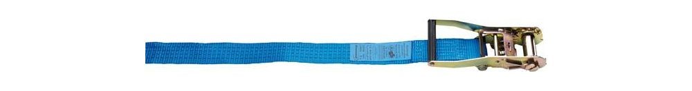 Format 10m CARGO_STRAP Tragriemen Zurrgurt 50mm blau von Format