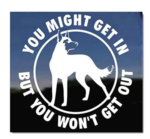 Auto Sticker Autoaufkleber 20Cm(7.87 In) You Might Get In Warning Belgischer Malinois-Vinyl-Aufkleber Für Autofenster, Stoßstange, Tür, Motorhaube, Wand, Haustier, Hund, Dekoration (Csyj1S21429) von GAETOYEN