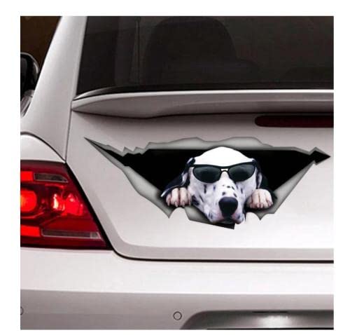 Autoaufkleber Hund Personalisiert 18Cm(7.08 Inch) Cm Dalmatiner-Auto-Aufkleber, Haustier-Aufkleber, Hund-Aufkleber, Vinyl-Aufkleber, Auto-Aufkleber, Lustige Aufkleber, Laptop-Aufkleber, Aufkleber C3 von GAETOYEN