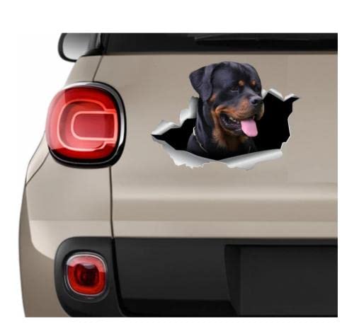 Autoaufkleber Hund Personalisiert 21Cm（8.6 Inches） Rottweiler Auto Aufkleber Rottweiler Aufkleber Hund Aufkleber Rottweiler Auto Aufkleber Rottweiler Auto Decor Rottweiler Auto Kunst Hunde(def1m13527) von GAETOYEN