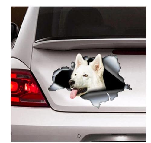 Autoaufkleber Hund Personalisiert 21Cm（8.6 Inches） Weißer Schweizer Schäferhund Auto Aufkleber, Hund Auto Aufkleber, Schweizer Schäferhund Aufkleber, Schweizer Schäferhund Aufkleber(def1m10280) von GAETOYEN