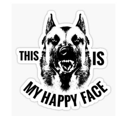 GAETOYEN Auto Sticker Autoaufkleber 22Cm(8.66 In) This is My Happy Face Belgischer Malinois-Vinyl-Aufkleber Für Fensterschild, Kunstdruck, Haustier, Hund, Schwarz, Cool Und Kreativ (Csyj1S39822) von GAETOYEN