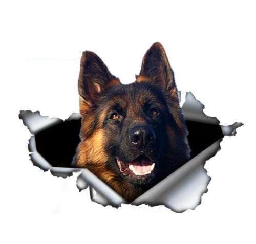 GAETOYEN Autoaufkleber Hund Personalisiert 15 cm Deutscher Schäferhund Autoaufkleber Zerrissenes Metall Aufkleber Reflektierende Aufkleber Auto Stoßstange Kofferraum Heckscheibe Dekor Haustie von GAETOYEN