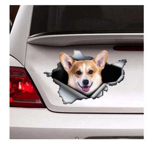 GAETOYEN Autoaufkleber Hund Personalisiert 15Cm Corgi-Auto-Aufkleber, Autodekoration, Corgi-Aufkleber, Hundeaufkleber, Hunde-Aufkleber Css1A8971 von GAETOYEN