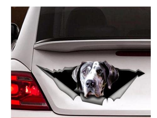 GAETOYEN Autoaufkleber Hund Personalisiert 15Cm Deutsche Dogge Auto Aufkleber, Haustier Aufkleber, Vinyl-Aufkleber, Deutsche Dogge Aufkleber, Lustige Aufkleber, Hund Aufkleber Css1A8966 von GAETOYEN