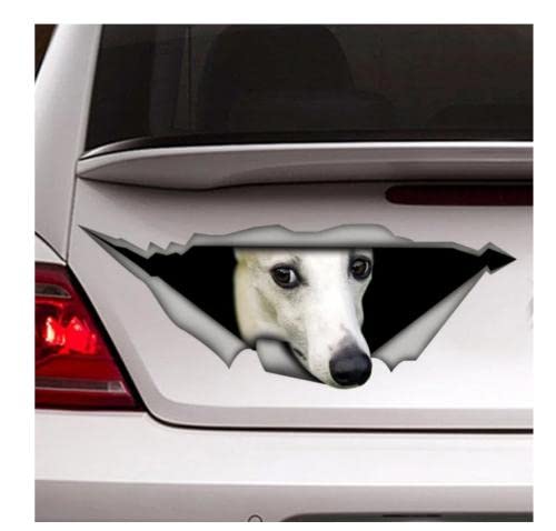 GAETOYEN Autoaufkleber Hund Personalisiert 15Cm Weißer Whippet-Auto-Aufkleber, Whippet-Magnet, Haustier-Aufkleber, Hundeaufkleber, Whippet-Aufkleber Css1A8976 von GAETOYEN