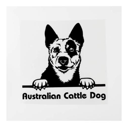 GAETOYEN Autoaufkleber Hund Personalisiert 16,6 cm × 15,4 cm Australian Cattle Dog Peeking Vinyl Auto Aufkleber Schwarz/Silber Css1A12695 von GAETOYEN