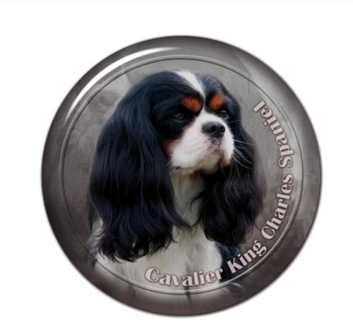 GAETOYEN Autoaufkleber Hund Personalisiert 17 cm Selbstklebender Aufkleber Cavalier King Charles Spaniel Hund Autoaufkleber Dekore Auf Stoßstange Heckscheibe Laptop Css1A4370 von GAETOYEN