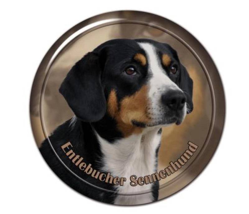 GAETOYEN Autoaufkleber Hund Personalisiert 17 cm Selbstklebender Aufkleber Entlebucher Sennenhund Hund Autoaufkleber Dekore Auf Stoßstange Heckscheibe Laptop C1S662(1PCS) von GAETOYEN