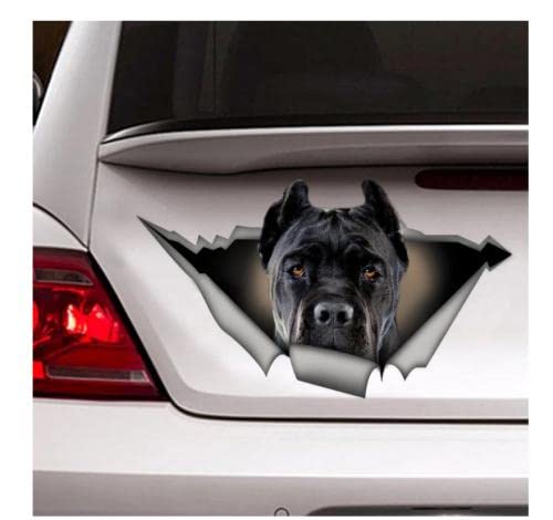 GAETOYEN Autoaufkleber Hund Personalisiert 17Cm Schwarz Cane Corso, Haustier Aufkleber, Schwarz Cane Corso Aufkleber von GAETOYEN