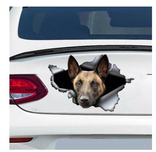 GAETOYEN Autoaufkleber Hund Personalisiert 18Cm(7.08 Inch) Belgischer Malinois-Aufkleber, Belgischer Malinois-Magnet, Malinois-Aufkleber, Belgischer Schäferhund C3787Sh von GAETOYEN