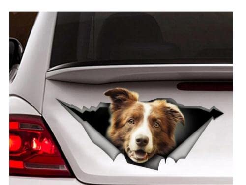 GAETOYEN Autoaufkleber Hund Personalisiert 18Cm(7.08 Inch) Braun Und Weiß Border-Collie-Auto-Aufkleber, Hund-Auto-Aufkleber, Auto-Dekoration, Haustier-Aufkleber C3688Sh von GAETOYEN