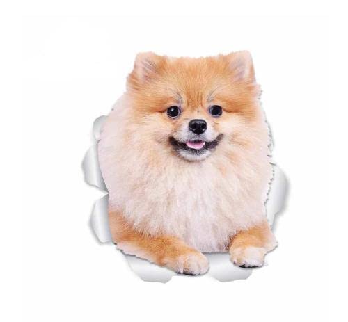 GAETOYEN Autoaufkleber Hund Personalisiert 18Cm(7.08 Inch) Für Pomeranian Dog Car Styling Aufkleber Trunk Decal Wasserdichtes Vinylmaterial Geeignet C689Sh von GAETOYEN