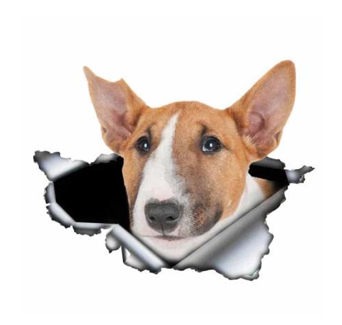 GAETOYEN Autoaufkleber Hund Personalisiert 20 cm Bullterrier Autoaufkleber 3D Zerrissenes Metall Vinyl Stoßstange Kofferraum Aufkleber Haustier Hund Grafik Css1A2783 von GAETOYEN