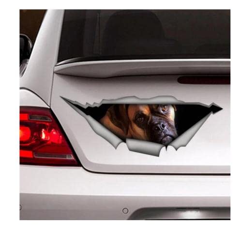 GAETOYEN Autoaufkleber Hund Personalisiert 21Cm（8.6 Inches） Deutscher Boxer Hund Aufkleber, Auto-Aufkleber, Vinyl-Aufkleber, Haustier-Aufkleber, Hund Aufkleber, Deutscher Boxer-Aufkleber(def1m4287) von GAETOYEN