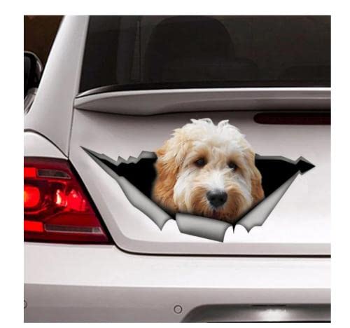 GAETOYEN Autoaufkleber Hund Personalisiert 21Cm（8.6 Inches） Weißer Goldendoodle-Auto-Aufkleber, D-Aufkleber, Haustier-Aufkleber, Hund-Aufkleber(def1m5509) von GAETOYEN