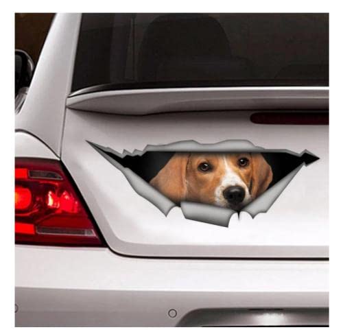 GAETOYEN Autoaufkleber Hund Personalisiert 22Cm Beagle-Auto-Aufkleber, Vinyl-Aufkleber, Autodekoration, Lustiger Aufkleber, Hundeaufkleber, Haustier-Aufkleber Css1A13278 von GAETOYEN