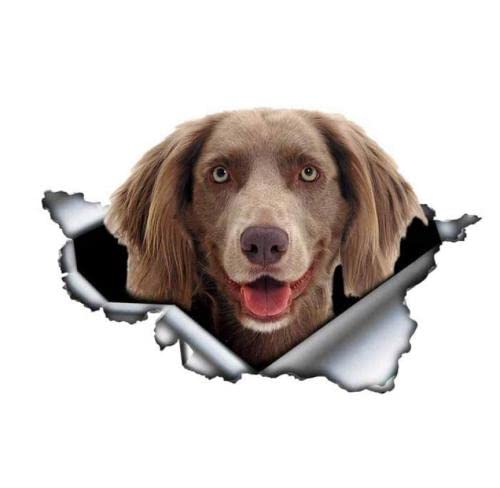 GAETOYEN Autoaufkleber Hund Personalisiert 25 cm Grauer Weimaraner Autoaufkleber Zerrissener Metallaufkleber Reflektierende Aufkleber Wasserdichter 3D-Auto-Styling-Haustier-Hundeaufkleber CSS von GAETOYEN