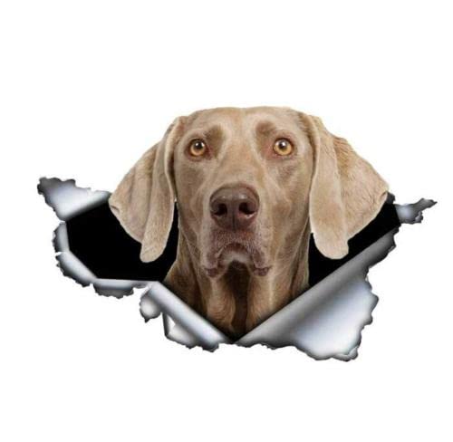 GAETOYEN Autoaufkleber Hund Personalisiert 25 cm Grauer Weimaraner Autoaufkleber Zerrissener Metallaufkleber Reflektierende Aufkleber Wasserdichter 3D-Auto-Styling-Haustier-Hundeaufkleber CSS von GAETOYEN