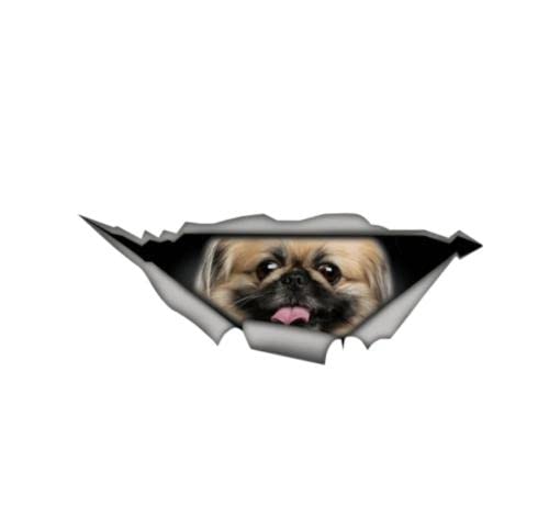 GAETOYEN Autoaufkleber Hund Personalisiert 25 cm Kreativer Autoaufkleber Pekingese Dog 3D Autofenster Aufkleber Zubehör wasserdichte Vinylabdeckung Kratzer PVC Css1A2592 von GAETOYEN