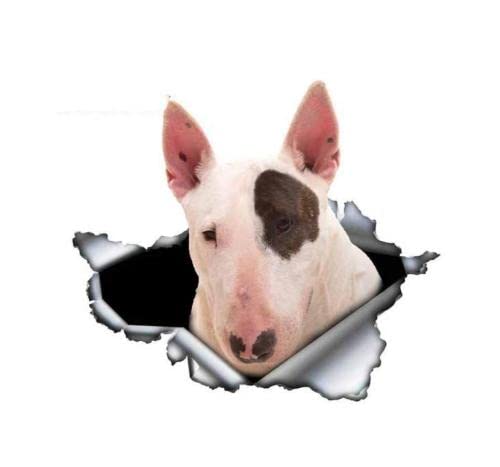 GAETOYEN Autoaufkleber Hund Personalisiert 25 cm Weißer Bullterrier Autoaufkleber Zerrissener Metallaufkleber Reflektierende Aufkleber Wasserdichtes Auto Styling Haustier Hund Aufkleber Css1A von GAETOYEN