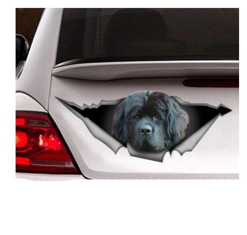 GAETOYEN Autoaufkleber Hund Personalisiert 25Cm Neufundland Auto Aufkleber, Hund Auto Aufkleber, Newfie Aufkleber, Auto Dekoration, Haustier Aufkleber Css1A13092 von GAETOYEN