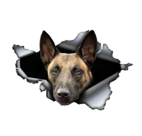 GAETOYEN Autoaufkleber Hund Personalisiert 26 cm X 18 cm Kreatives Tier Belgischer Malinois Autoaufkleber Zerrissener Metallaufkleber Reflektierende Aufkleber Wasserdichter Belgischer Schäfer von GAETOYEN